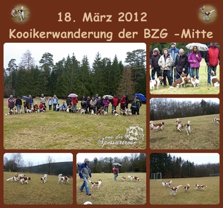 Kooikertreffen