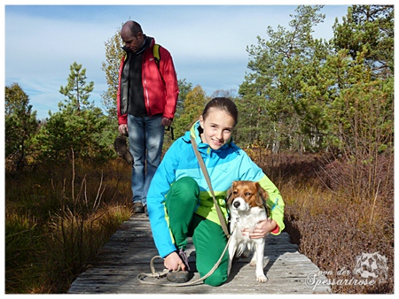 Kooikerhondje von der Spessartrose