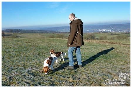 Kooikerhondje von der Spessartrose