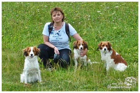 Kooikerhondje von der Spessartrose