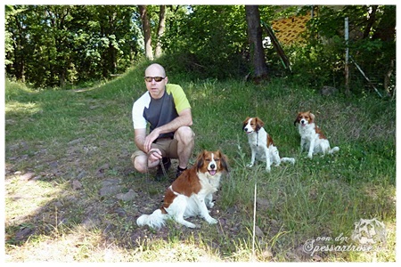 Kooikerhondje von der Spessartrose