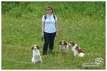 Kooikerhondje von der Spessartrose