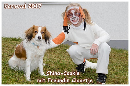 Kooikerhondje von der Spessartrose