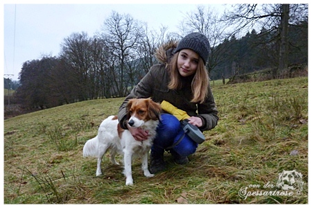 Kooikerhondje von der Spessartrose